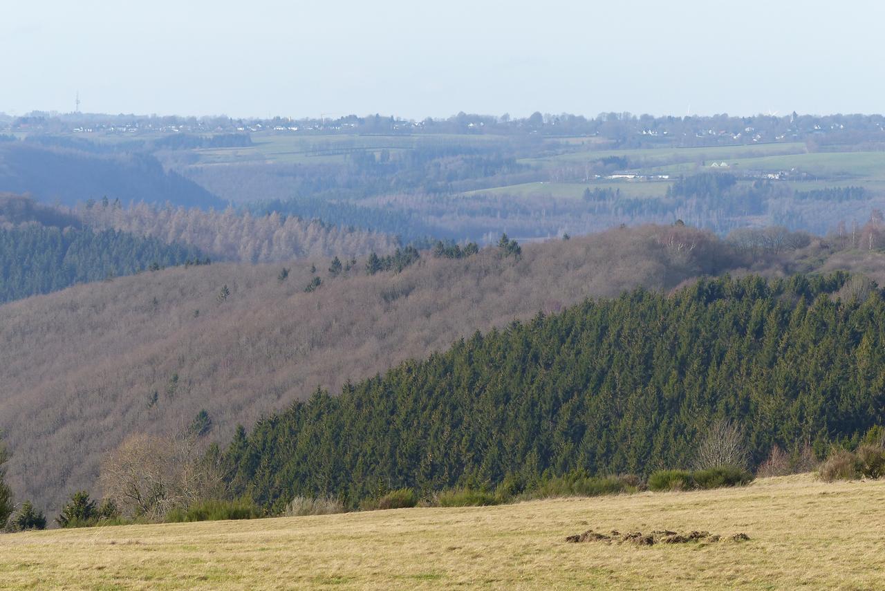 Вилла Chalets Am National Park Eifel Шляйден Экстерьер фото